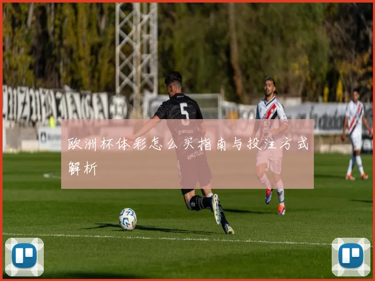 欧洲杯体彩怎么买指南与投注方式解析