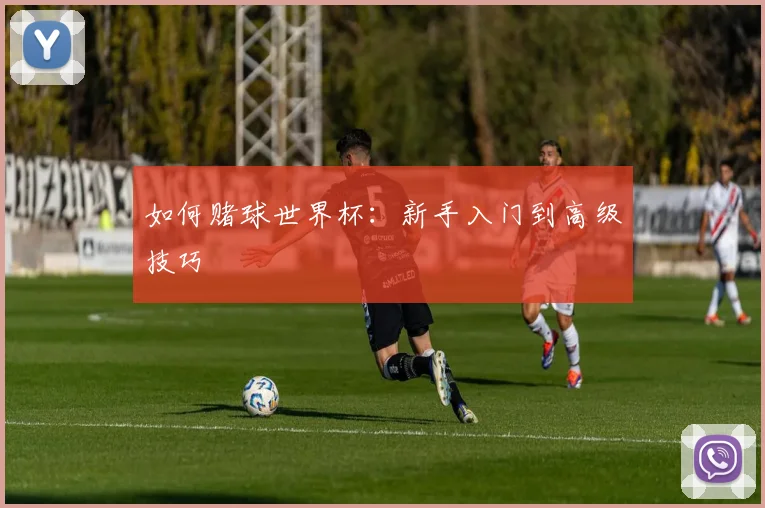 如何赌球世界杯：新手入门到高级技巧