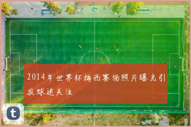 2014年世界杯梅西赛场照片曝光引发球迷关注