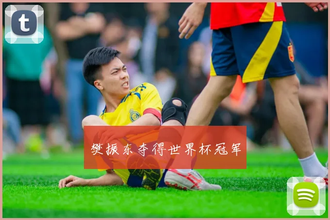樊振东夺得世界杯冠军