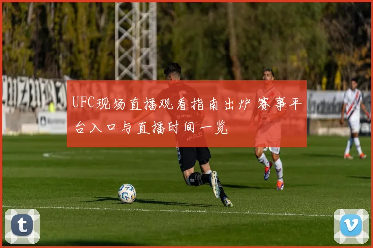 UFC现场直播观看指南出炉 赛事平台入口与直播时间一览