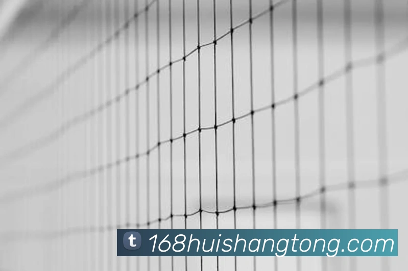 世界杯官方入口品牌故事