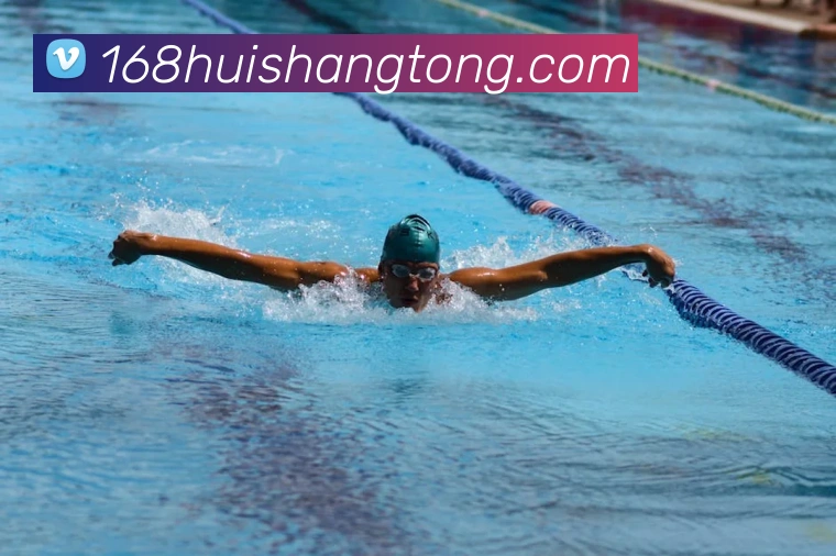 世界杯官方入口服务体系